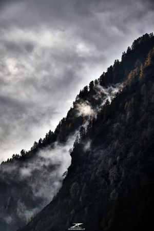 FIRST BREATH